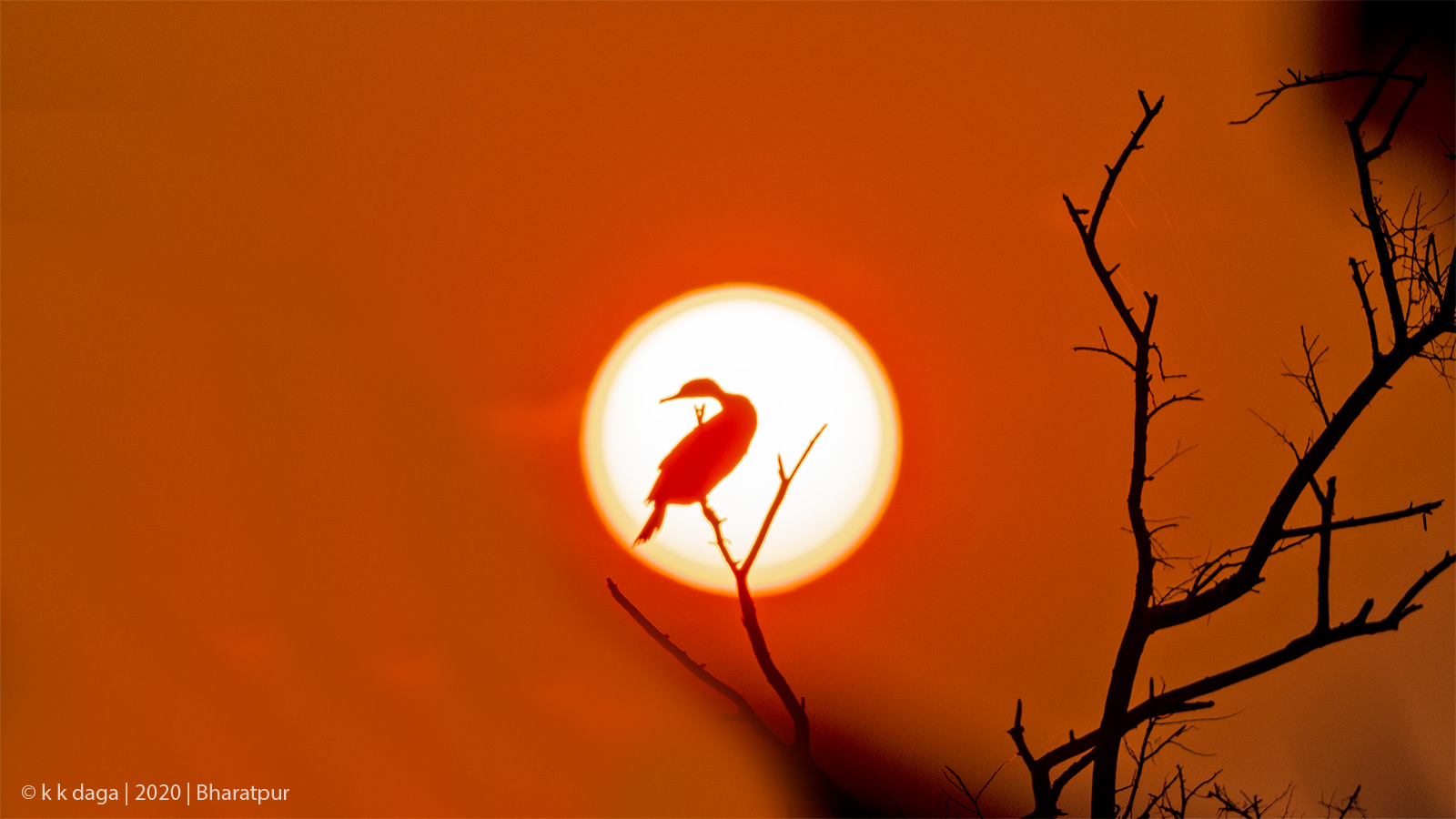 Sunrise at Bharatpur