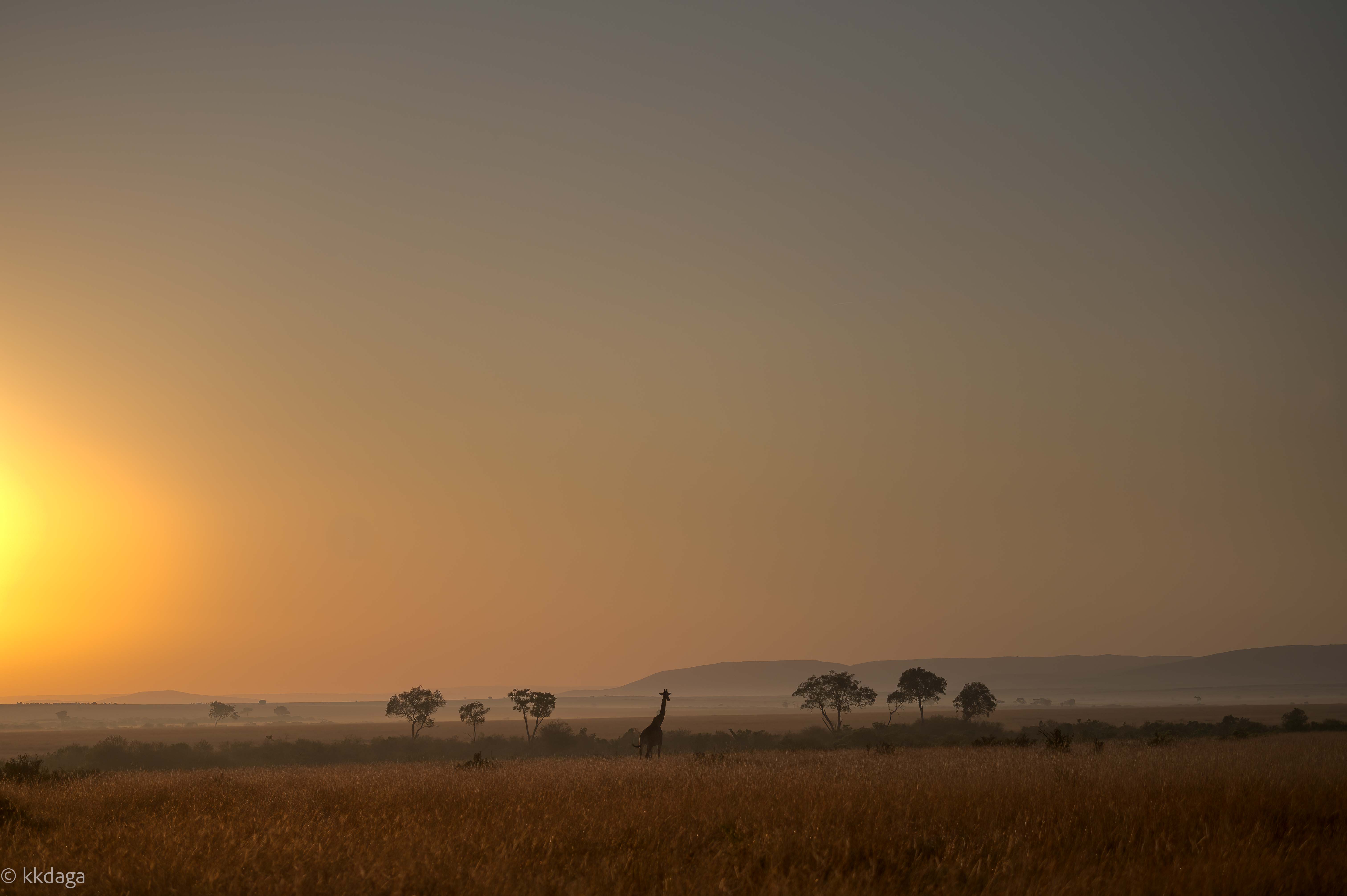 Morning at Mara